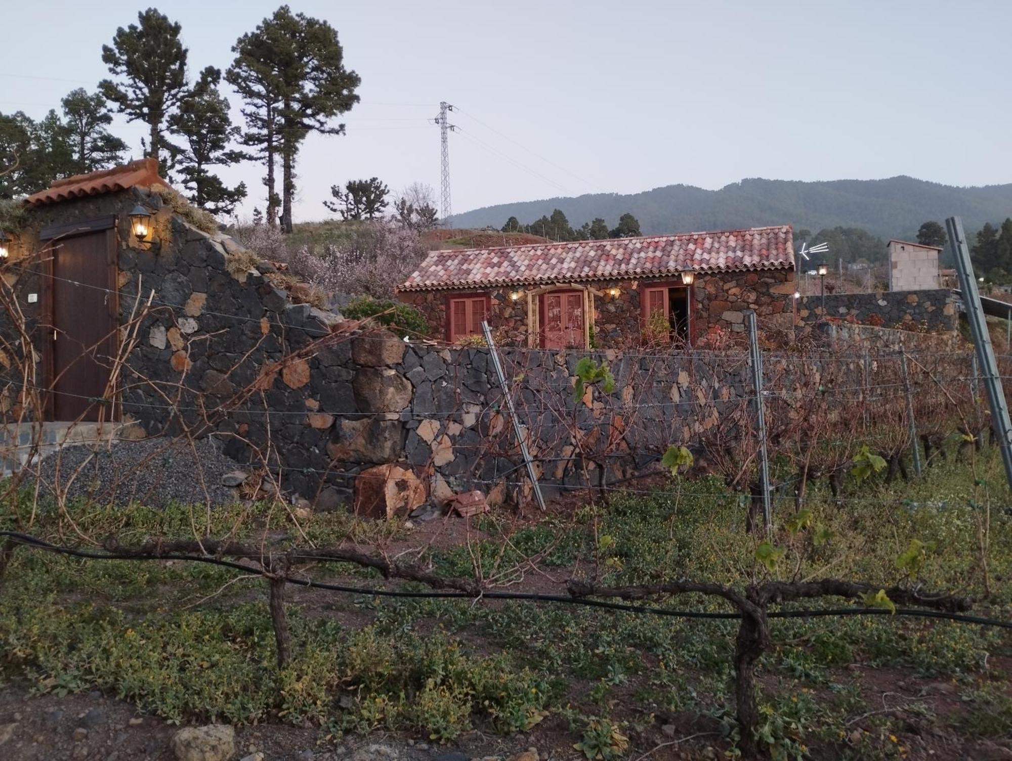 El Castillo  Finca Hortensia מראה חיצוני תמונה