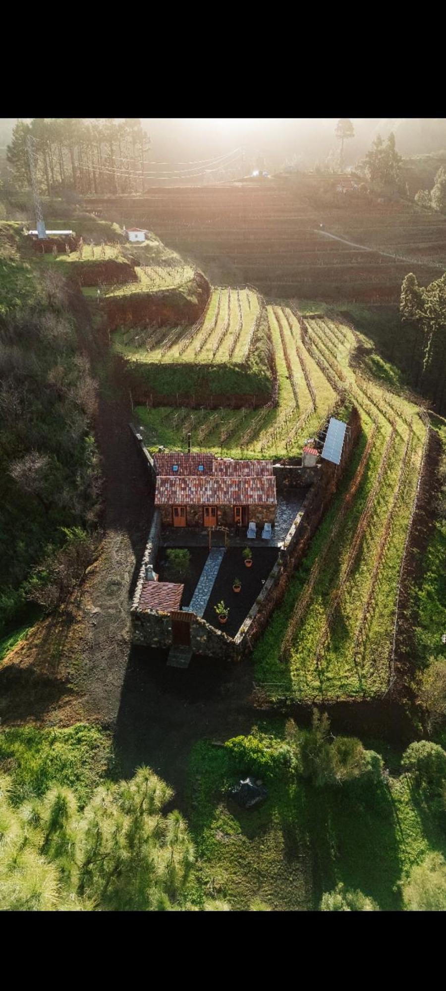 El Castillo  Finca Hortensia מראה חיצוני תמונה